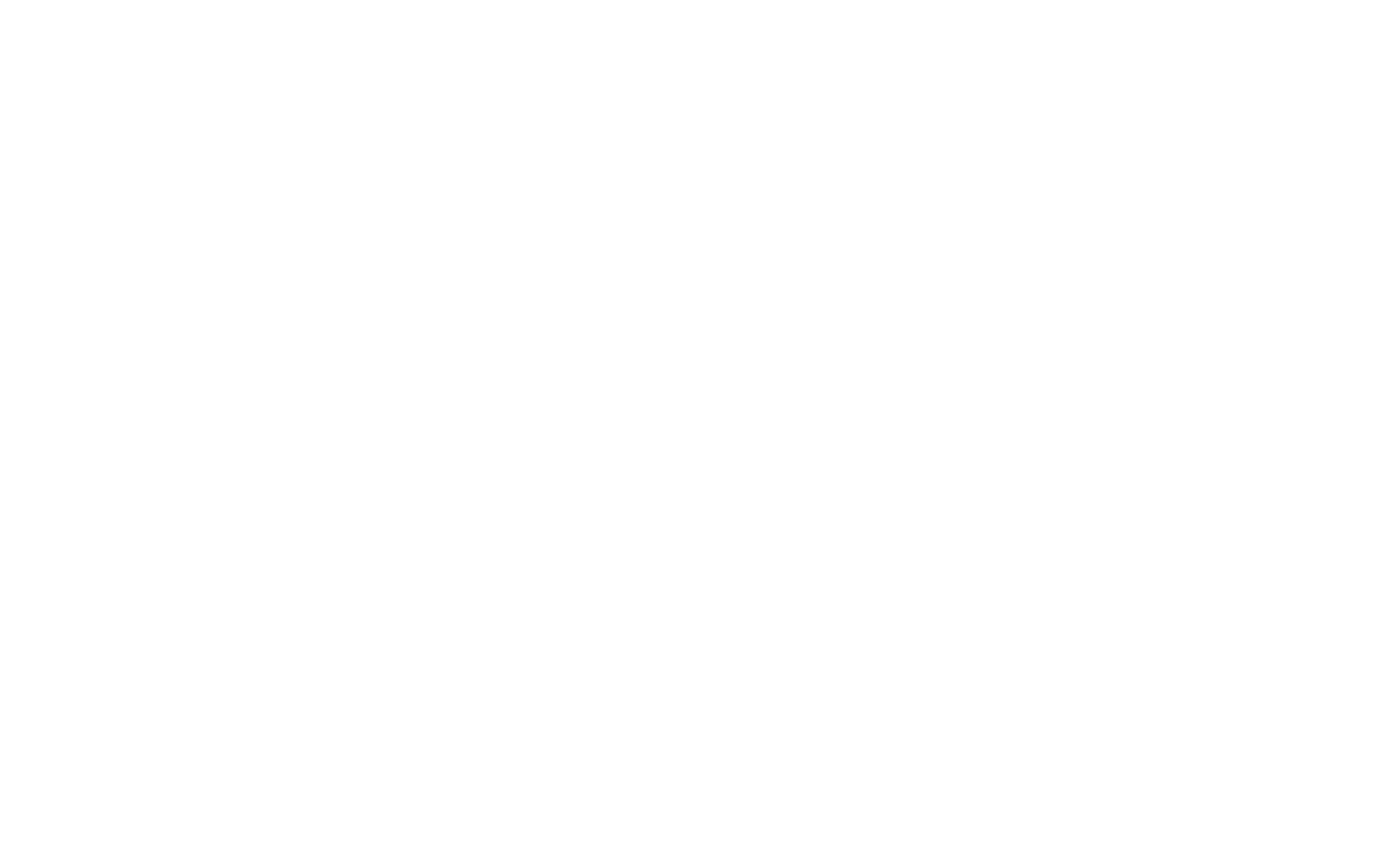 Ark Vision Systems 